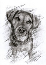 Kohlezeichnung Watson(4)  DIN