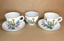 RARE Villeroy & Boch Botanica