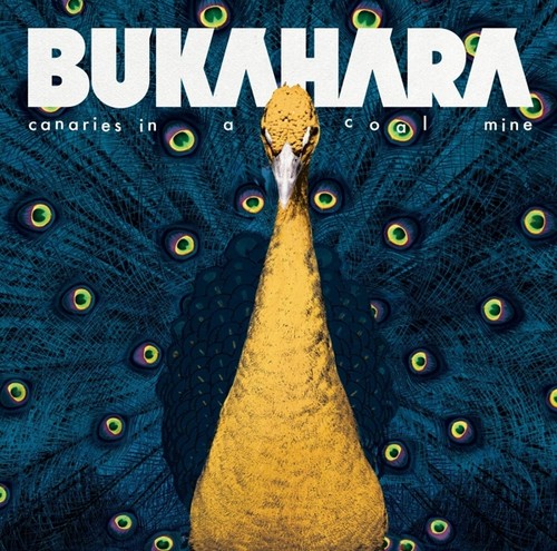 Bukahara canaries a coal - bukahara,