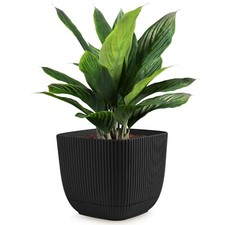 Blumentopf Groß Übertopf