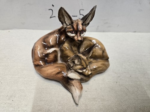 Tay italy desert fennec - tay,