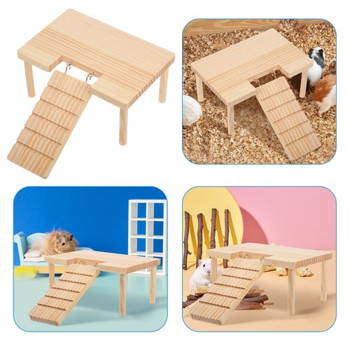 Hamster plattform - hamster,