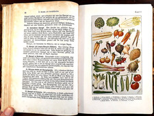 Praktisches kochbuch - praktisches,