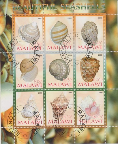 Muscheln malawi gestempelt - muscheln,