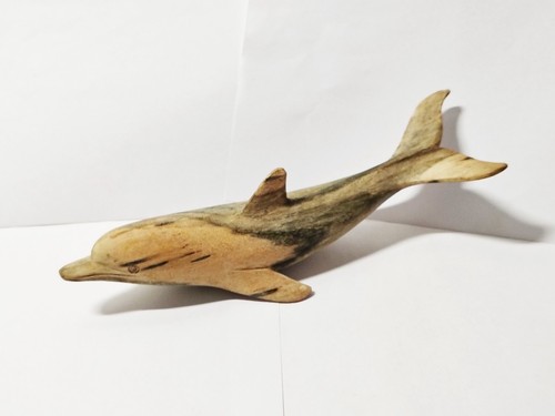 Delphin selten schwimmend - schwimmend,