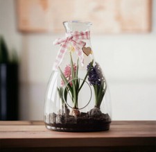 Glasvase, Terrariumvase, Vase