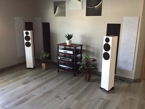Elac carina fs247 pair with - pair,