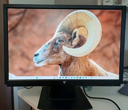 Monitor zoll v7 - 22,