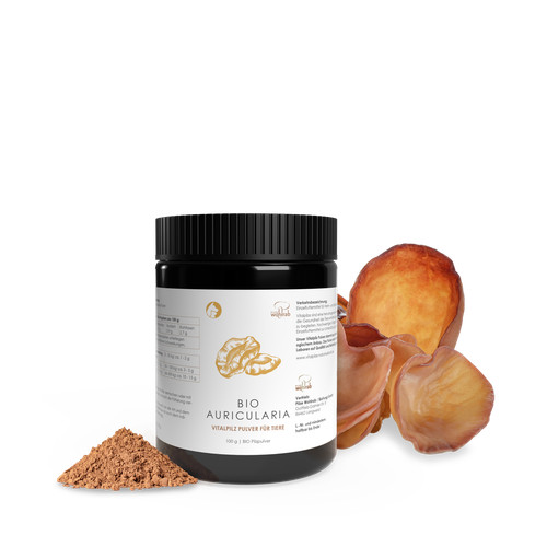 Pilze wohlrab auricularia - pilze,