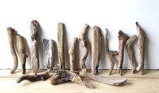 Treibholz Schwemmholz