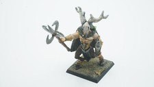 Warhammer Fantasy Waldelfen