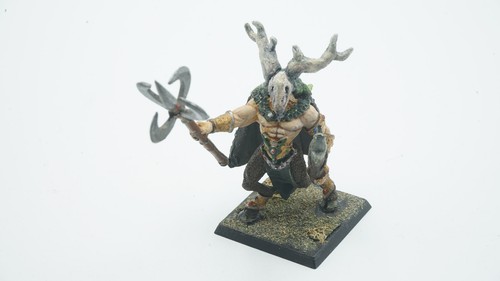 Warhammer fantasy waldelfen - warhammer,