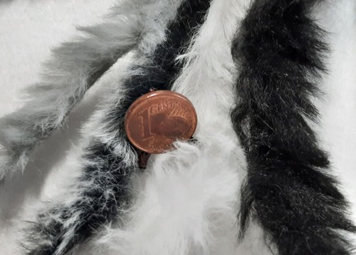 X 50 cm - €/m):,