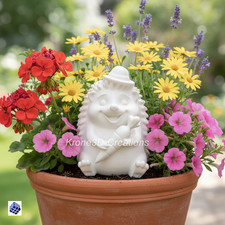 Igel 14 cm – Blumenkasten