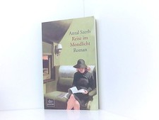 Reise im Mondlicht Roman