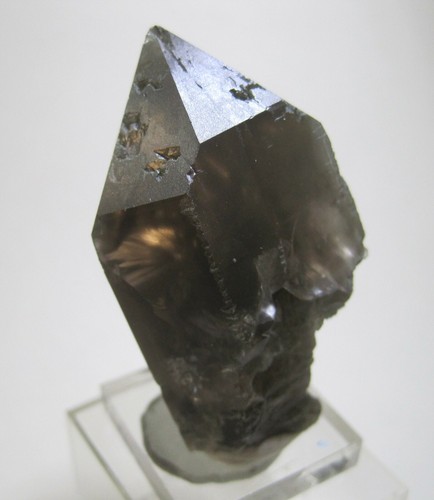 Rauchquarz x teilw - rauchquarz,