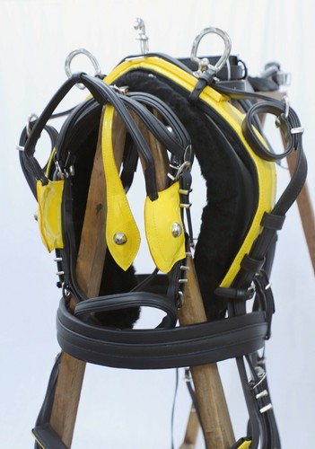 Pvc biothatne festzurrren - pvc, /