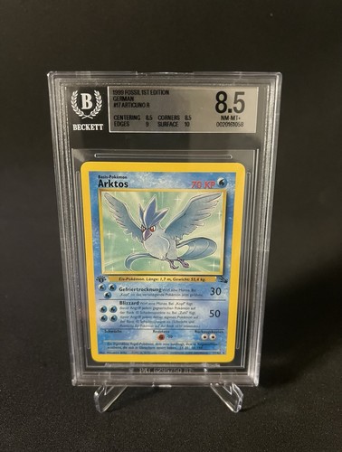 Pokémon arktos 1 - arktos,