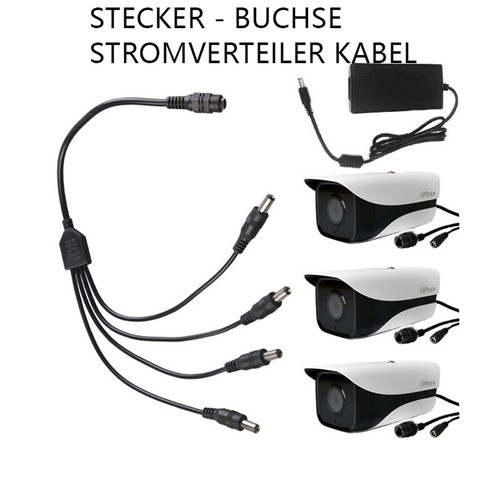 Stecker buchse - -,