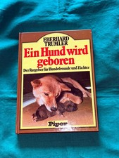 Ein Hund wird geboren. Der