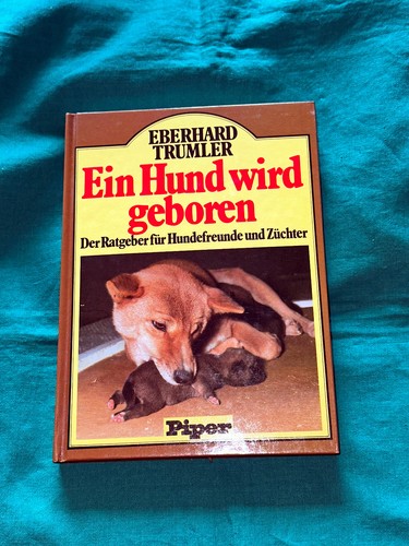Ein hund wird geboren - ein, geboren.