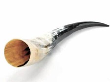 Wikinger Trinkhorn ca. 700 ml Methorn - Forum Traiani - Mittelalter Larp