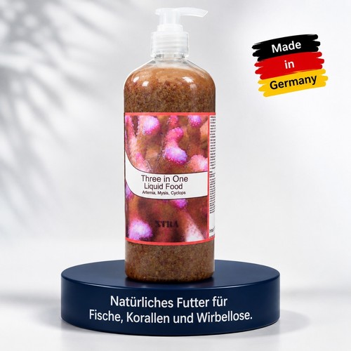 Xtra three one - xtra, liquid