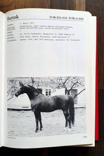 Shagya stutbuch band - band, *