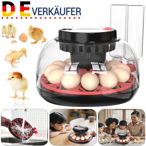 Eier inkubator brutkasten - 12, eier-inkubator
