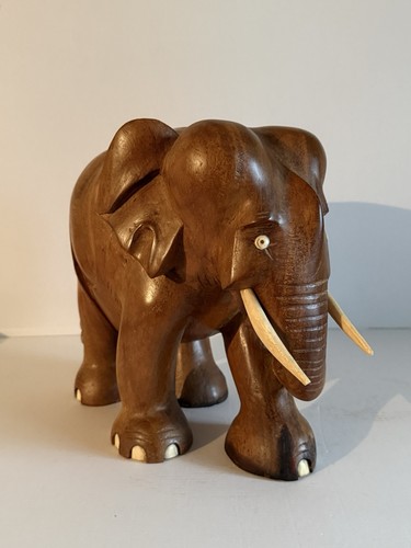 Große elefant asien - große,