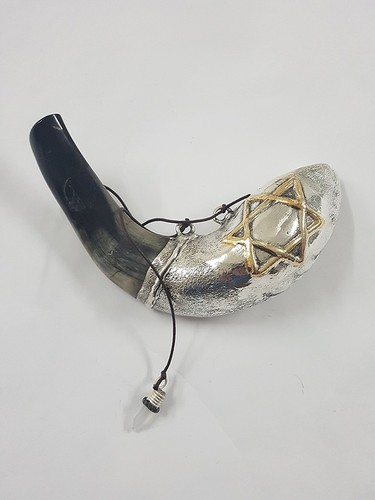 Shofar salböl zoll - salböl, 13