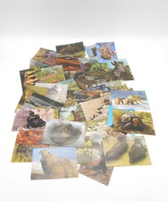 Penny Bedrohte Tierwelt