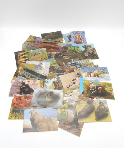 Penny bedrohte tierwelt - penny,