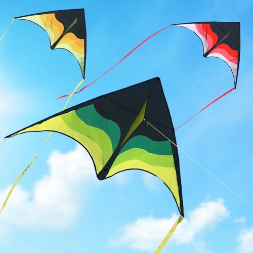 Yongjian large delta kite - large,