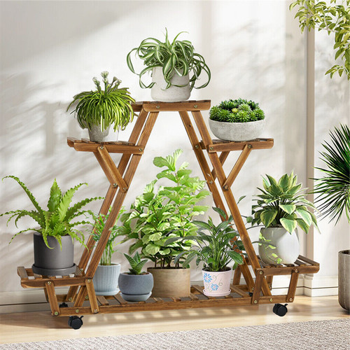 Blumen regal treppe - treppe, pflanzen