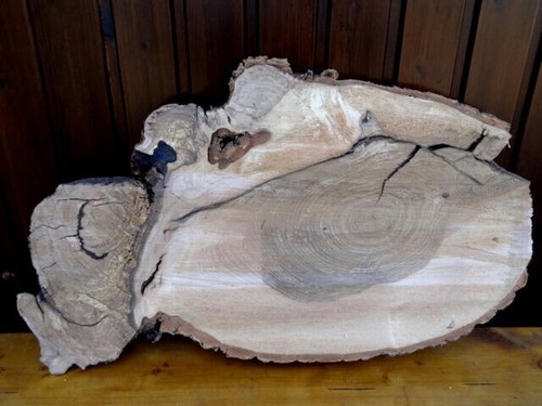 Esche escheholz maserknolle - esche,