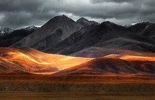 Fototapete VLIES-FELD