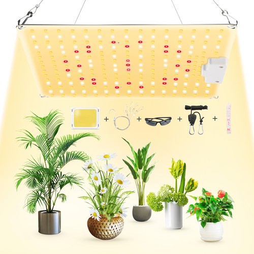 Pflanzenlampe led 600w - 600w,
