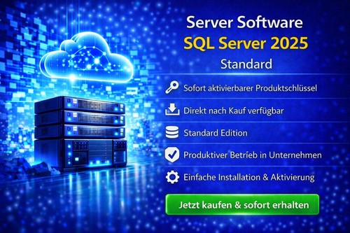 Sql server 2025 standard - sql,