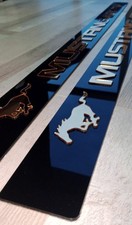 Seitenschweller Türschweller