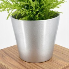 Silberne Keramik-Pflanzschale