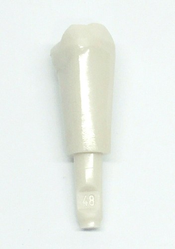 Kavo modellzahn dps 48 - kavo,