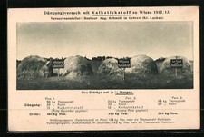 Reklame für Kalkstickstoff, Düngungsversuch zu Wiese 1912 /13, Ansichtskarte 