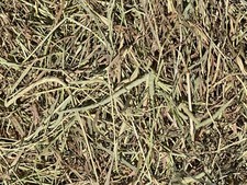 Fox Peak Timothy Hay Rabbits