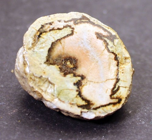 Mineral kristall geode - kristall, poliert