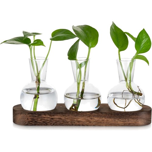 Mini glas terrarium - terrarium, 4