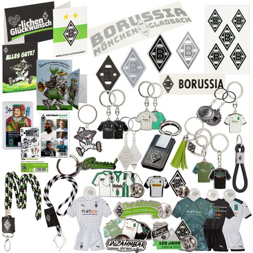 Vfl borussia mönchengladbach - vfl,