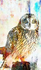 POSTER XXL POP ART EULE OWL