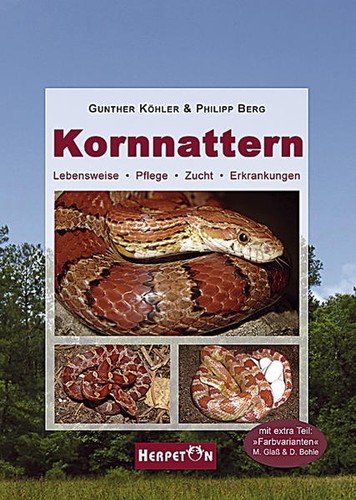 Kornnattern nullgunther - kornnattern, |