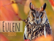 Eulen Kalender 2026 | Kalender | Tierkalender Weingarten | Spiralbindung | 14 S.